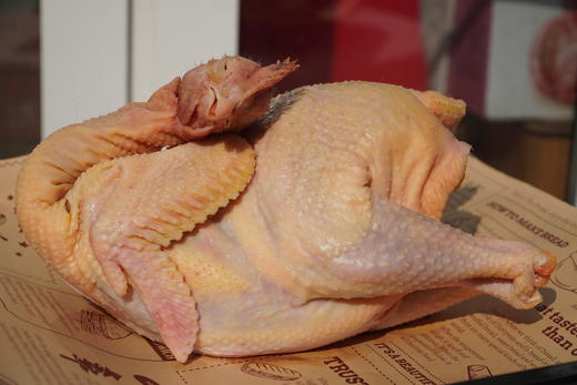 庄主通道订枸杞鸡（非卖品，兑换券领取） 商品图2