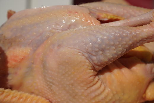 庄主通道订枸杞鸡（非卖品，兑换券领取） 商品图3