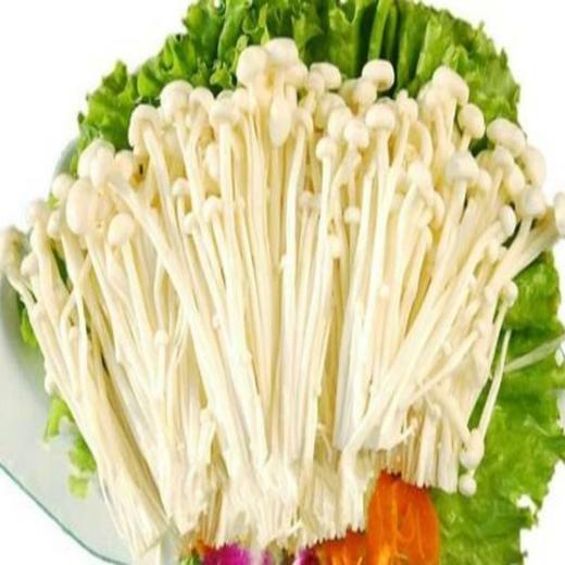 【SF】新鲜金针菇  烧烤火锅 新鲜蔬菜 商品图0