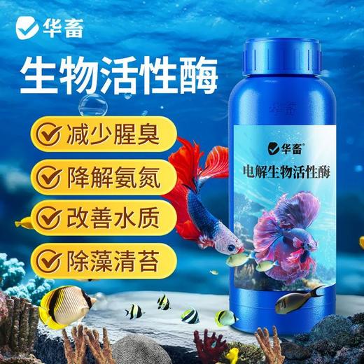 华畜电解生物活性酶去黄去浑净化水质必备分解粪便除水垢清洁鱼缸 商品图3