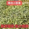 【MLT】干小茴香 商品缩略图0