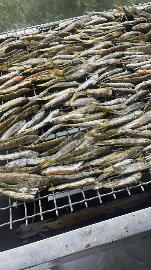 临安昌化石斑鱼干250克 商品图2