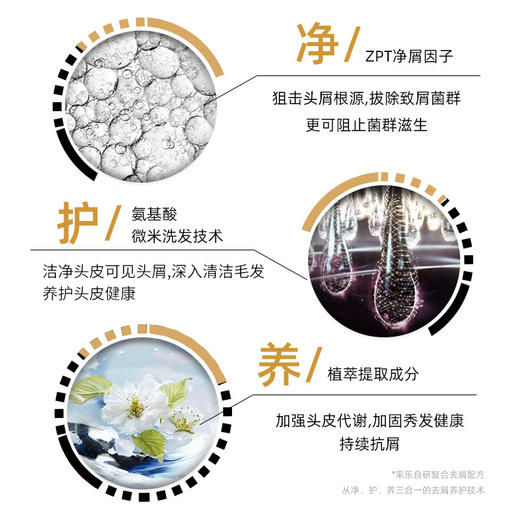 同康采乐 山茶花去屑止痒洗发水 第6代全新升级 27年老国货品牌 自研CLT靶向去屑技术 200ml/瓶 商品图6