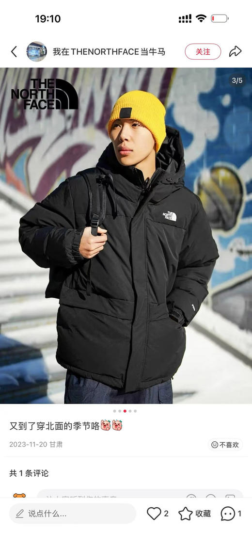 原单正品北面 TNF情侣款羽绒服 700蓬鹅绒填充  版型超级好，S-XL 商品图0