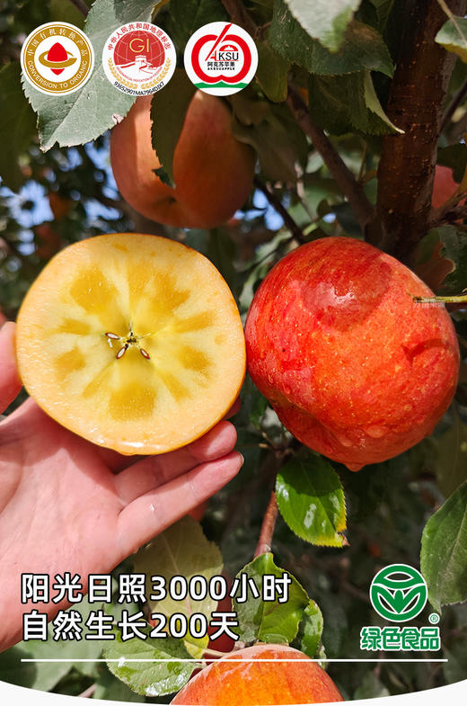 新疆阿克苏苹果（冰糖心） 国家地里标志保护产品 | 有机转换认证 | 绿色食品 商品图3