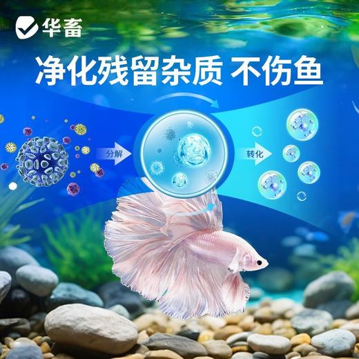 华畜电解生物活性酶去黄去浑净化水质必备分解粪便除水垢清洁鱼缸 商品图6