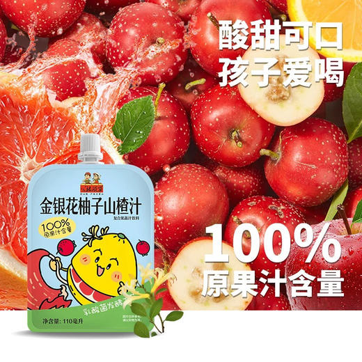 公社联盟金银花柚子汁110ml 商品图0