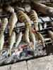 临安昌化石斑鱼干250克 商品缩略图1