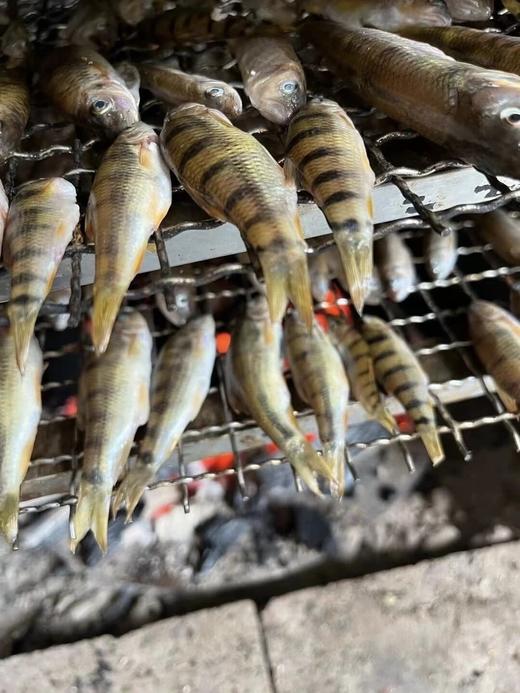 临安昌化石斑鱼干250克 商品图1