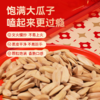 【仅剩10份】三胖蛋五香味葵花籽袋装480g-（效期至26年7月23日） 商品缩略图1