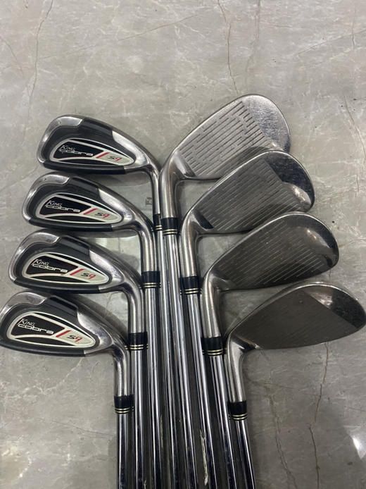 二手正品蛇王男士铁杆组 商品图1