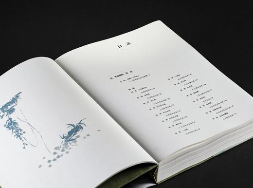 【新书】《三家门下转轮来：徐渭 八大山人 吴昌硕 齐白石》，北京画院 编，特8开，精装，西泠印社出版社2025年12月一版一印。定价598，售价398元。现货。 商品图4