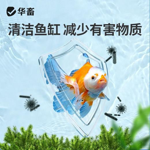 华畜电解生物活性酶去黄去浑净化水质必备分解粪便除水垢清洁鱼缸 商品图7