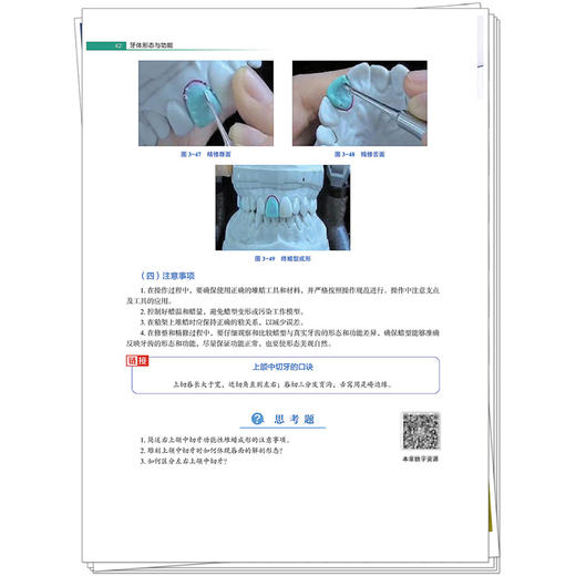 牙体形态与功能 全国高等职业教育新形态规划教材 辛金红 供口腔医学 口腔医学技术 口腔卫生保健等专业使用 中国中医药出版社 商品图4