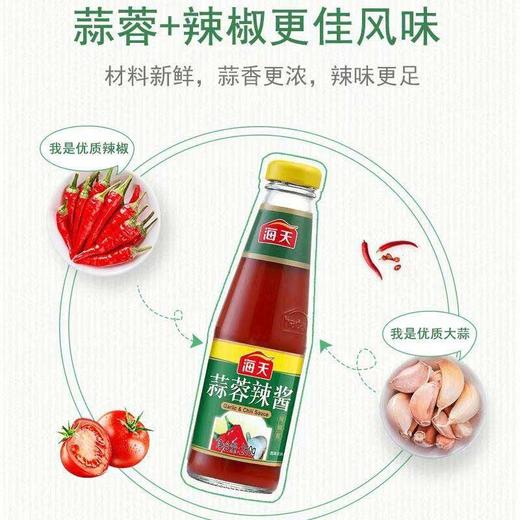 【MLT】海天蒜蓉辣酱  烧烤专用  家用调料 商品图0