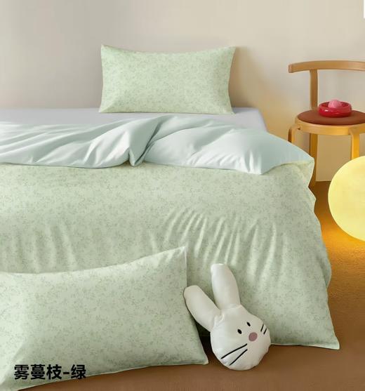 百富帝加厚纯棉磨毛秋冬季保暖加绒双人单人四件套床单被套旗舰店 商品图3