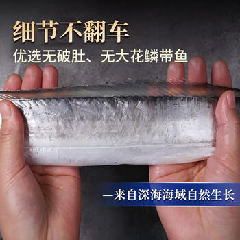 鱻谣北纬29-30°东海油带鱼礼盒净重10斤 单条3-4两 鲜带鱼源头直发 商品图0