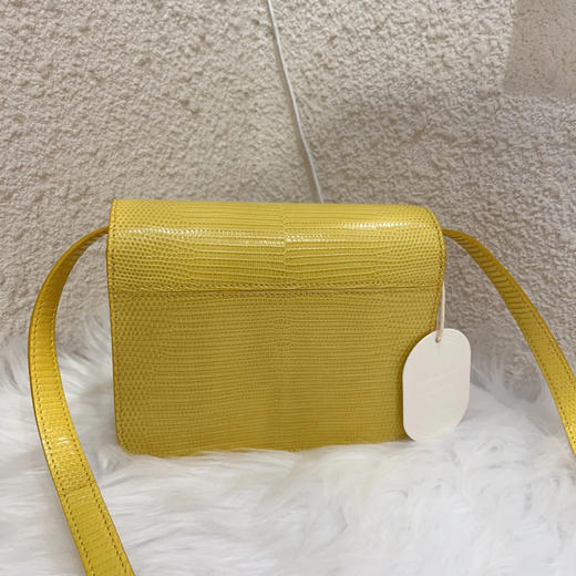 Celine teen Box 黄色 蜥蜴纹 蜥蜴皮 金扣 斜挎包 商品图1