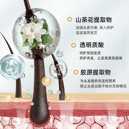 同康采乐 山茶花去屑止痒洗发水 第6代全新升级 27年老国货品牌 自研CLT靶向去屑技术 200ml/瓶 商品图3