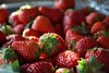 凉山红颜草莓 甜爽可口  果园现摘现发 顺丰空运新鲜有保障 商品缩略图4