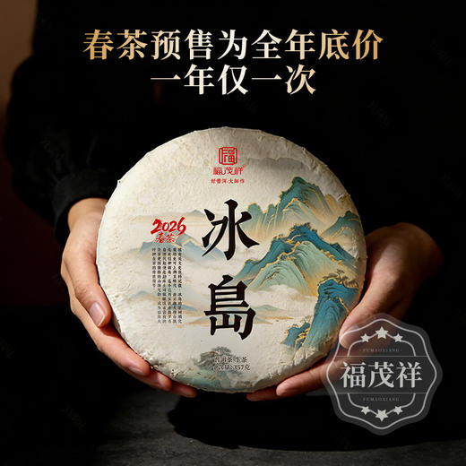 【2026年春茶】首款【冰岛】上新，2026年明前头春茶357g/饼 商品图3
