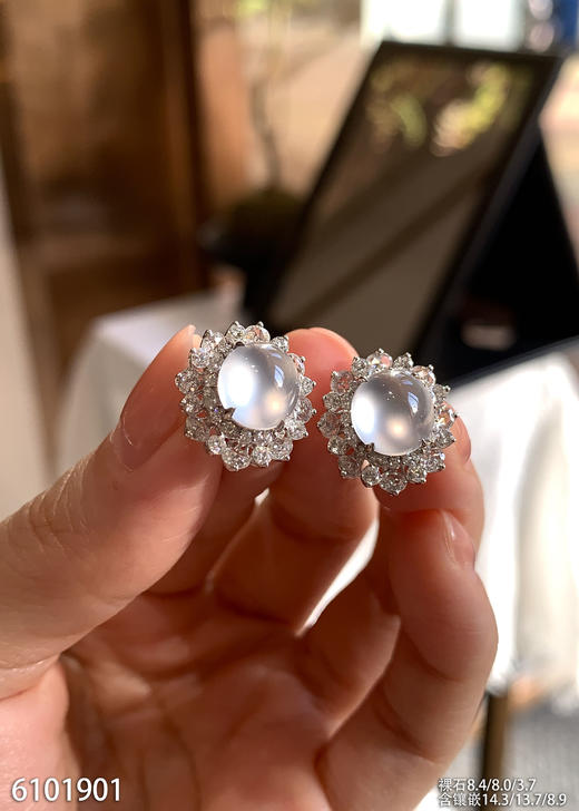 6101901，蛋面耳钉。具体价格微信咨询 商品图2