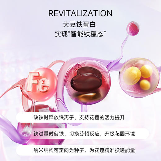 【2025升级版】丸治益生Dr.Watanabe Ferritin Iron铁剂 小紫丸 商品图1