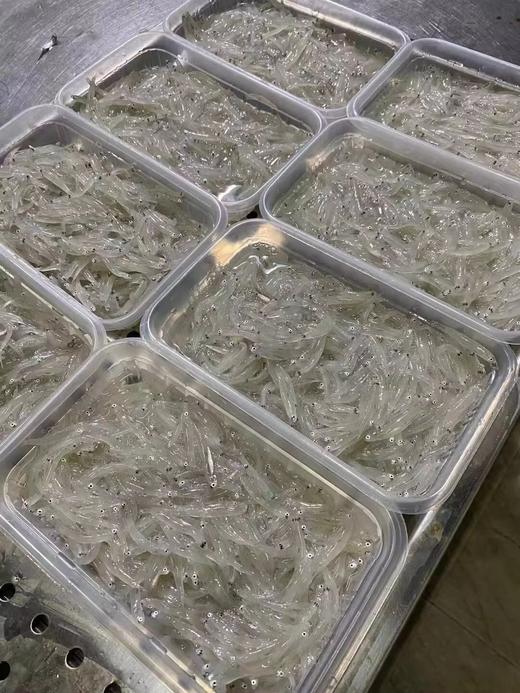 &  本港小银鱼🐠无刺无骨‼煎蛋必备补钙好选择，孩子健康成长首选活冻 商品图1