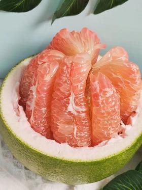 【云南高山老树金柚 】｜清甜爽口！柚香浓郁⭐藏在滇南原始森林里的黄金柚子❗️❗