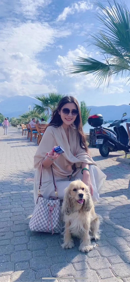 Lv 白棋盘格 老花 水桶包 商品图2