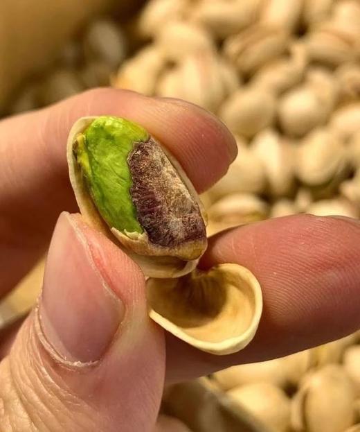 美国进口开心果来啦， 紫皮绿仁 原色无漂白 只经烘烤，盐焗 肉质厚实 芽衣完整 配料表干净基地直邮 商品图6