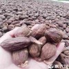 【HGSM】散称  草果 商品缩略图0