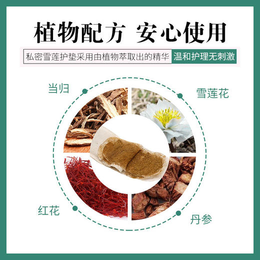 雪莲贴卫生护垫 草本萃取薄款护理清新绵柔  12片/贴 商品图1