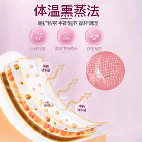 雪莲贴卫生护垫 草本萃取薄款护理清新绵柔  12片/贴