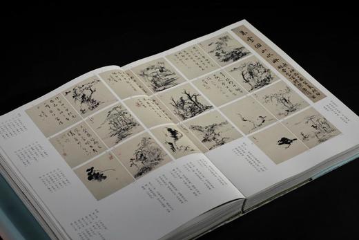 【新书】《三家门下转轮来：徐渭 八大山人 吴昌硕 齐白石》，北京画院 编，特8开，精装，西泠印社出版社2025年12月一版一印。定价598，售价398元。现货。 商品图14