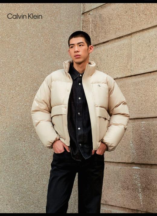 西k男士厚款保暖防风立领休闲羽绒服 YR203 商品图1