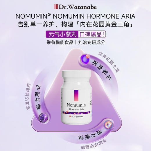 【2025升级版】丸治益生Dr.Watanabe Ferritin Iron铁剂 小紫丸 商品图4