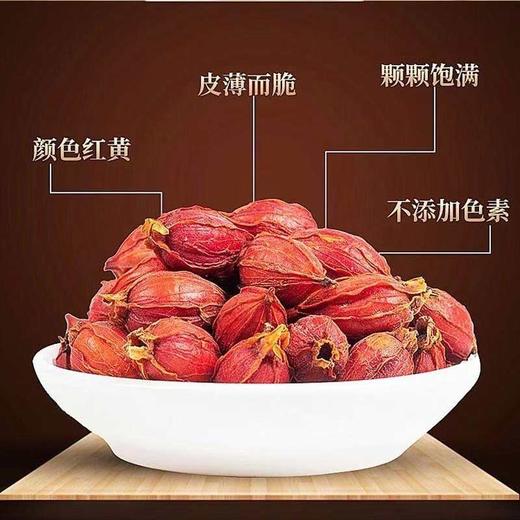 【MLT】干栀子 商品图1
