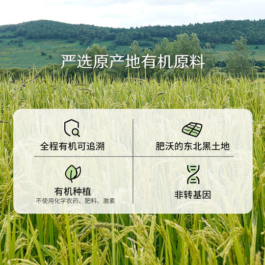 禾然有机酱油500ml 真实有机配方 四国有机认证 商品图2