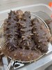 L'' 春季滋补推荐即食海参‼  特挑精品即食海参限量1000头 商品缩略图3