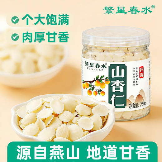 【繁星春水山杏仁】源自河北承德燕山山杏仁，个大饱满，肉厚甘香，地道风味AA 商品图1
