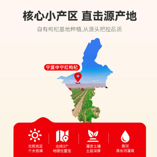 中宁枸杞特优枸杞100g袋装 商品图5