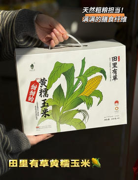 田里有草 甜糯玉米🌽