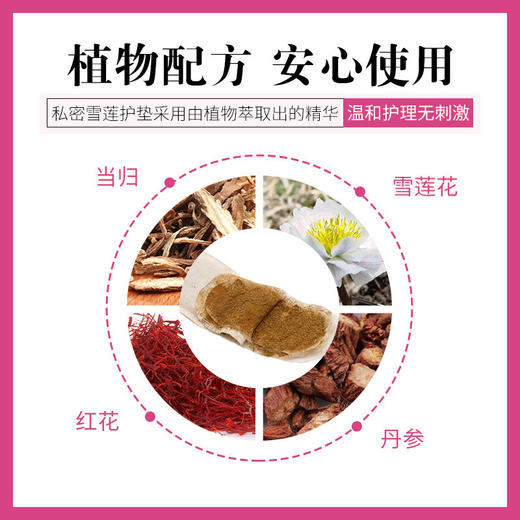 雪莲贴卫生护垫 草本萃取薄款护理清新绵柔  12片/贴 商品图2