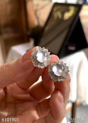 6101901，蛋面耳钉。具体价格微信咨询