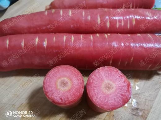 新鲜小白菜上市，生态种植，鲜嫩香甜，放心吃，健康菜！白菜有些已开花，介意者慎拍！老品种自留种胡萝卜过年包饺子必备，自然农法种植，原汁原味！口感纯正甜美！ 商品图4