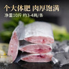 鱻谣北纬29-30°东海油带鱼礼盒净重10斤 单条3-4两 鲜带鱼源头直发 商品缩略图6