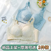 【活动价49元1件，89元2件】舒适透气贴合蕾丝文胸-夏菊 商品缩略图4