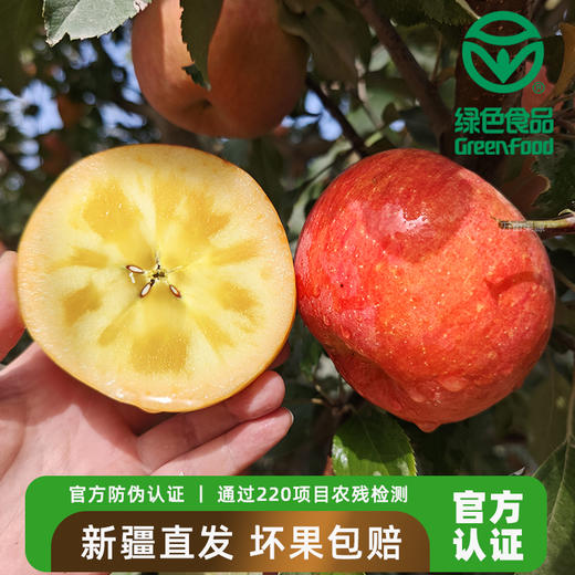 新疆阿克苏苹果（冰糖心） 国家地里标志保护产品 | 有机转换认证 | 绿色食品 商品图0