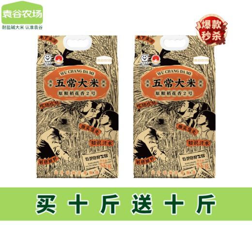 【爆款秒杀 买一送一】袁谷隆平芯米五常大米真稻花香2号5kg 商品图0